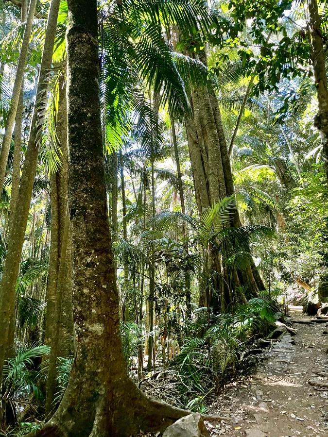 Mountain Studio Escape Mount Tamborine Exterior photo